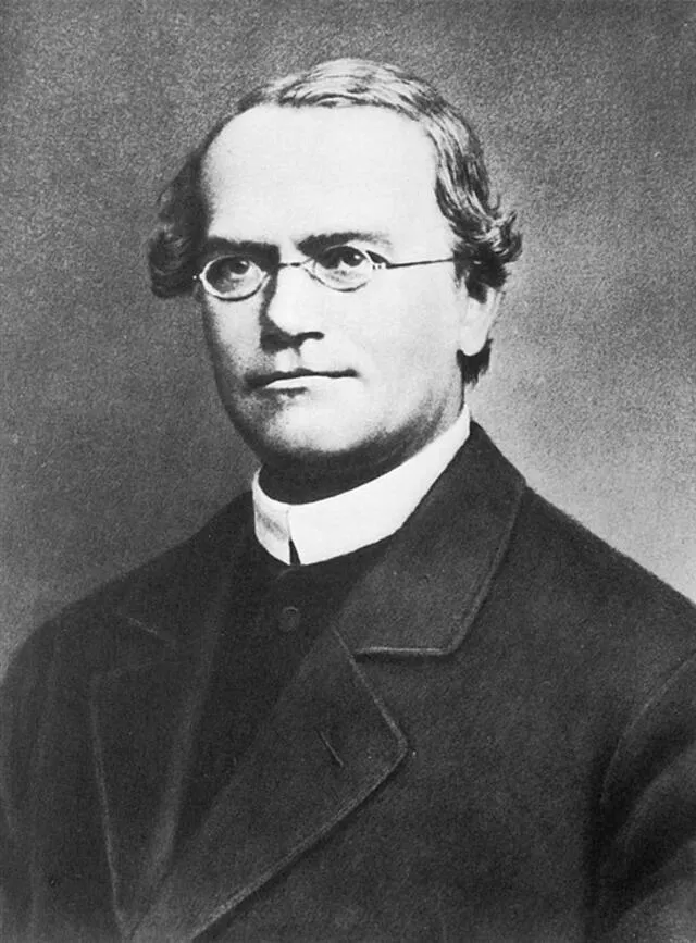 Gregor Mendel Gregor Mendel