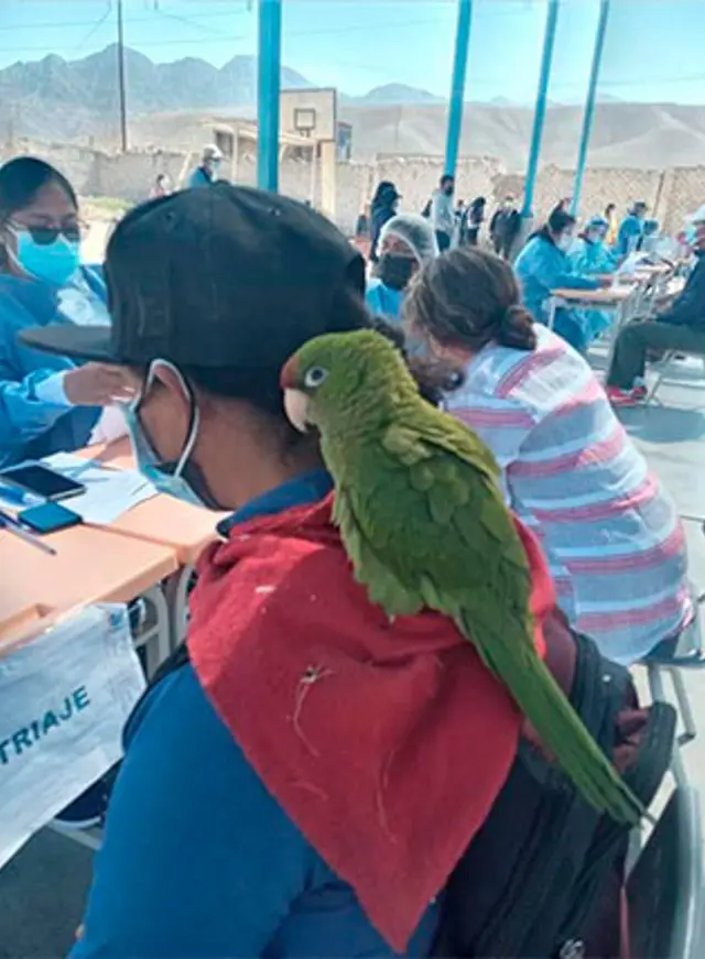 viral