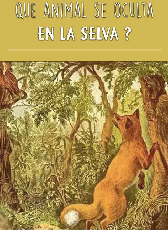 Acertijo visual