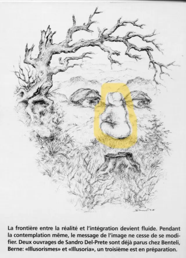 Solución reto visual