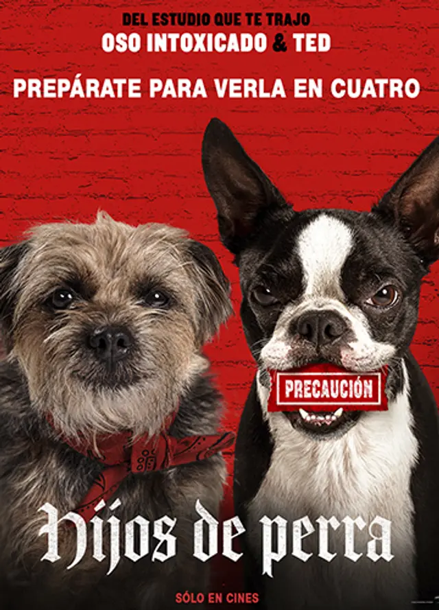 hijos de perra pelicula