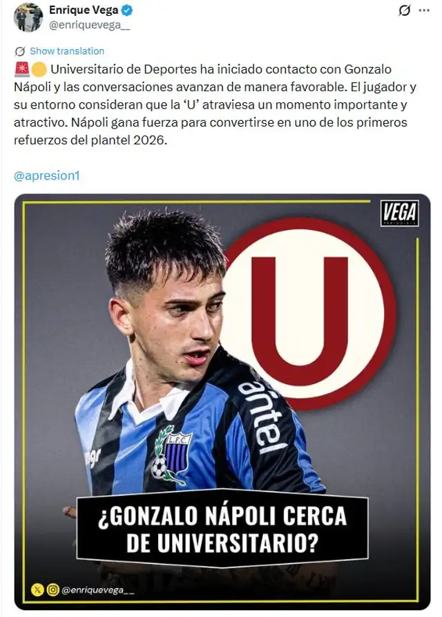 gonzalo napoli gonzalo napoli