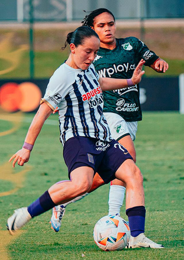 Angie Castañeda Angie Castañeda