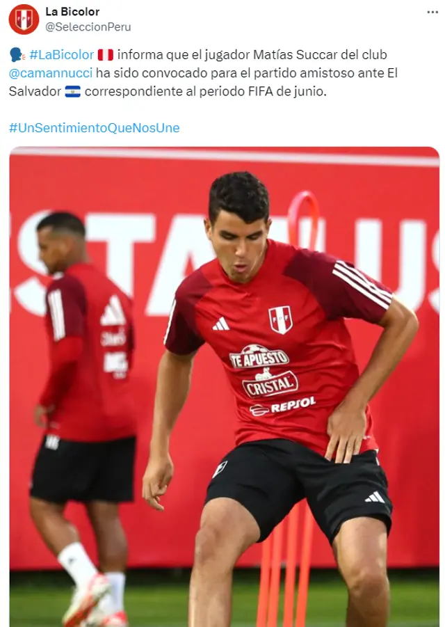 Matías Succar, Selección Peruana