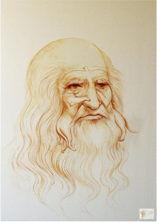 Trata de hallar todos los animales del rostro de Da Vinci / Foto<strong>:</strong> <strong>acertijosymascosas.com</strong>    