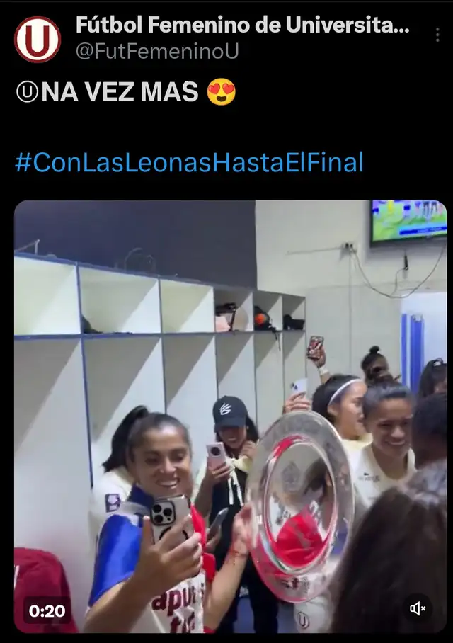 universitario universitario