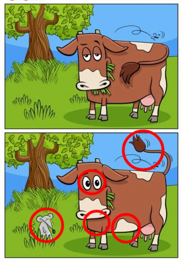 RETOS VISUALES