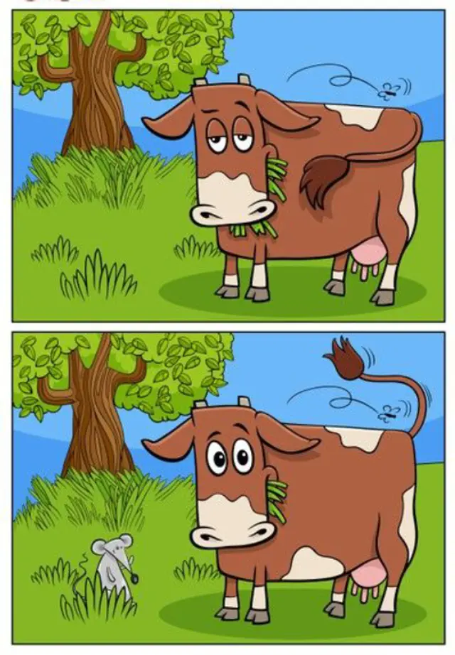 RETOS VISUALES