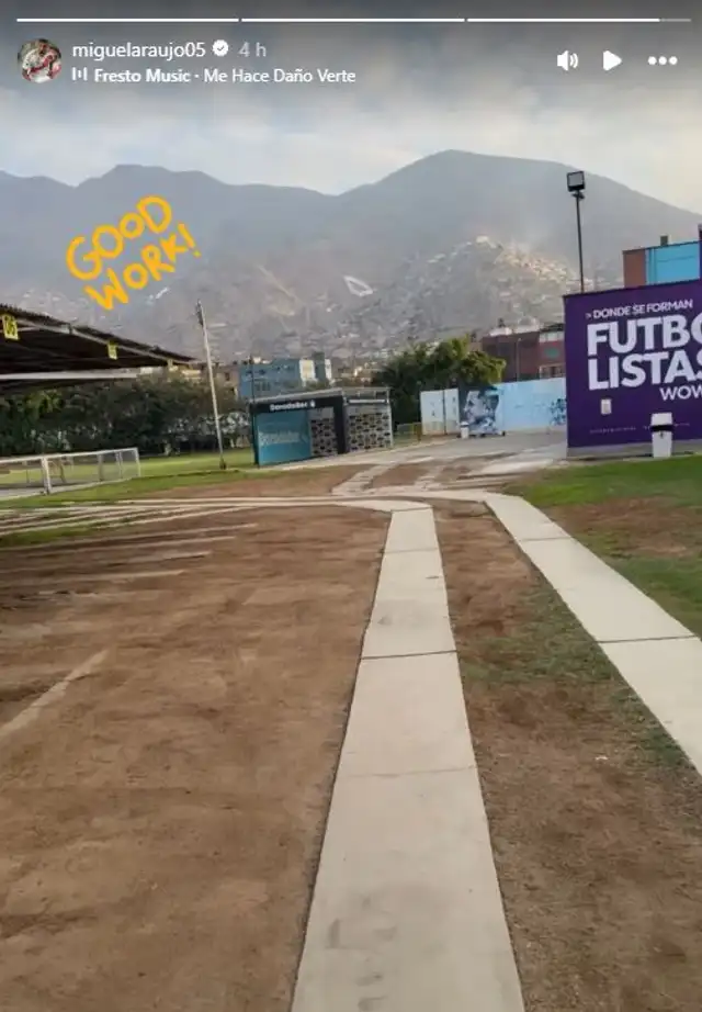 Miguel Araujo Miguel Araujo