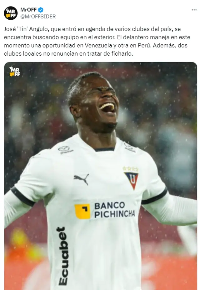 José Angulo José Angulo