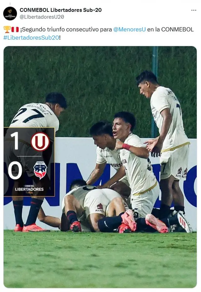 Universitario
