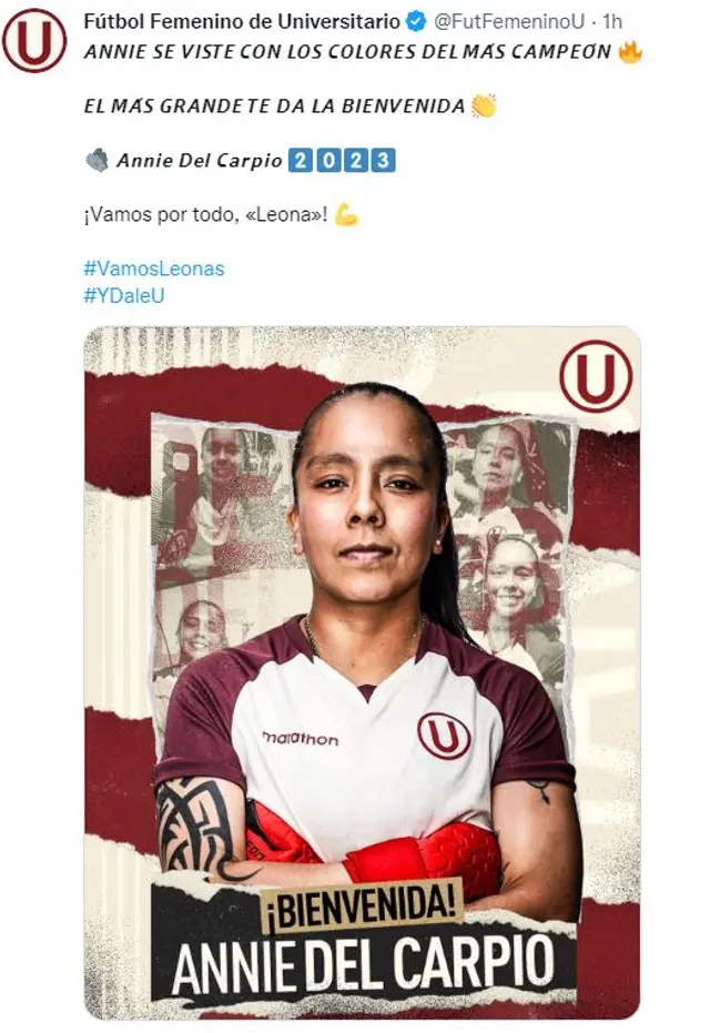 Universitario