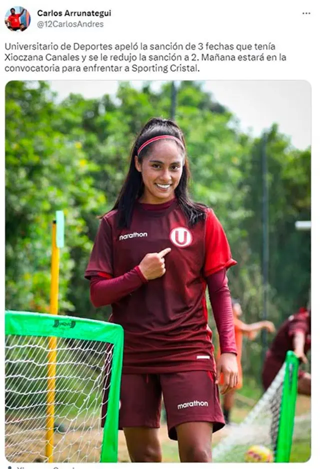 Universitario