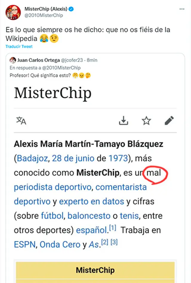 Mister Chip