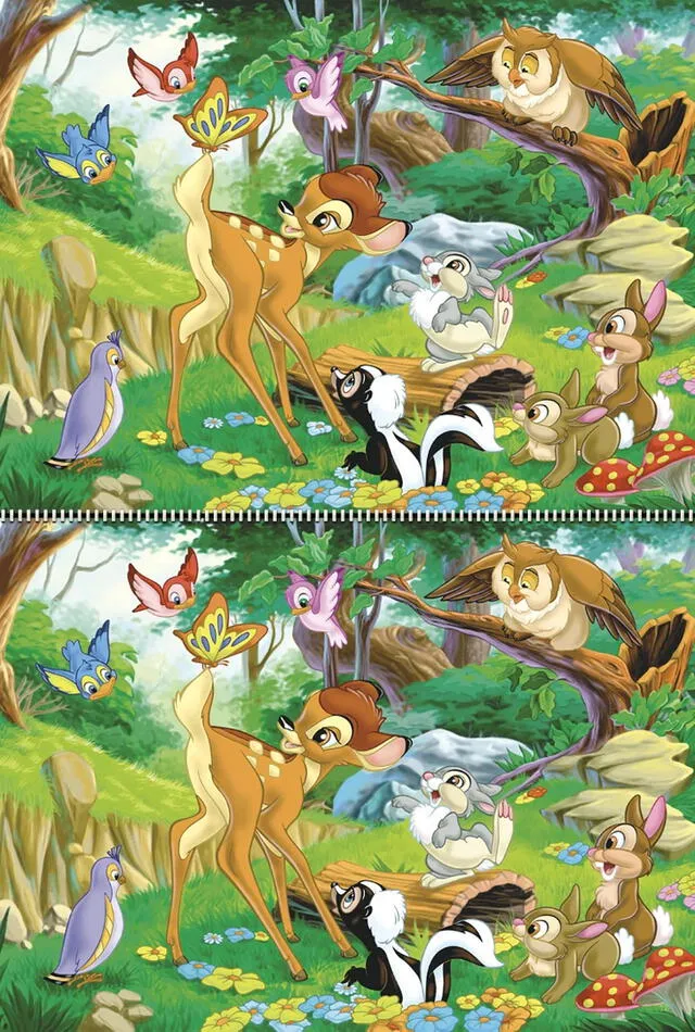 Reto visual. Reto visual.