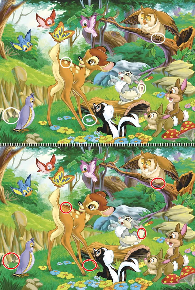 Reto visual. Reto visual.