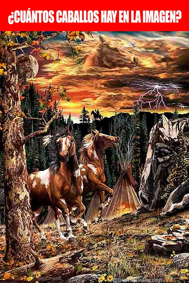 reto visual cuántos caballos hay en total. 