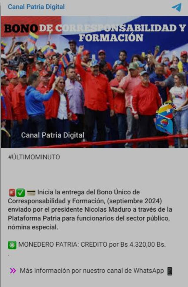 Bono corresponsabilidad y formación 2024