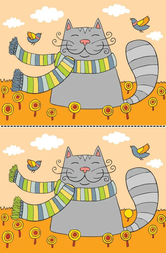 reto visual reto visual