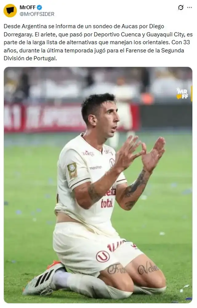 Diego Dorregaray, Universitario