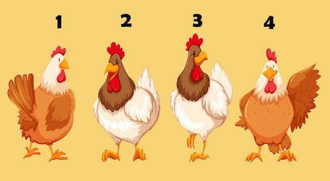 <em>Elige una gallinita y conoce si eres una persona cobarde. (Foto: Composición Líbero)</em> 