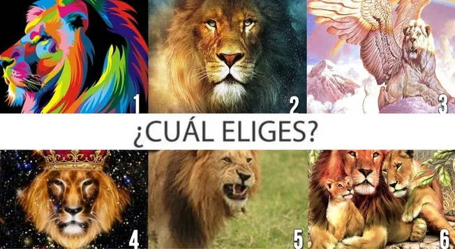 Elige uno de los leones del test visual y descubre qué es lo más importante  en tu vida