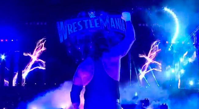 En WWE Wrestlemania 33, The Undertaker vs. Roman Reigns.