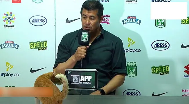 Youtube viral: DT de Atlético Nacional sufrió el susto de su vida por parte de un gato en plena conferencia [VIDEO]