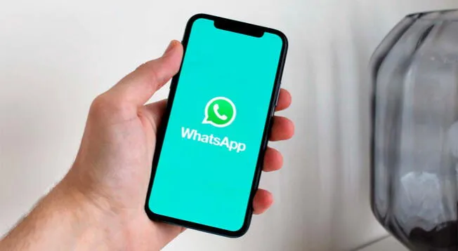 Whatsapp Conoce Cómo Utilizar La Función De Fijar Chats 5960