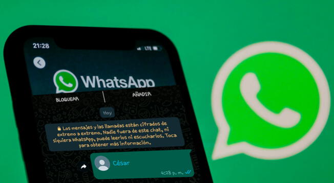 Whatsapp ¿cómo Compartir Un Contacto Sin Agregar Su Número 3174