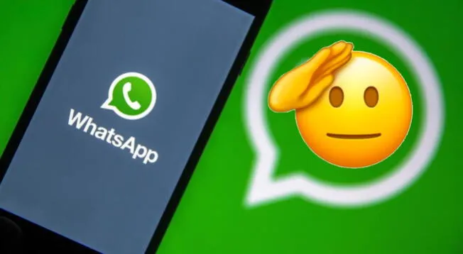 WhatsApp Qu significa la cara con la mano en la cabeza y por