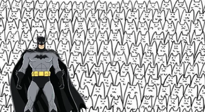 Dónde está el 'gatito Batman'? Ubícalo en solo 5 segundos y supera el reto  NIVEL SUPERIOR