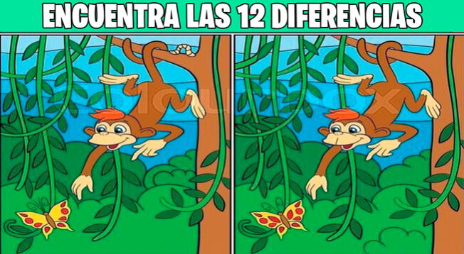 Si tienes vista de ÁGUILA podrás encontrar las 12 diferencias de este reto  para EXPERTOS