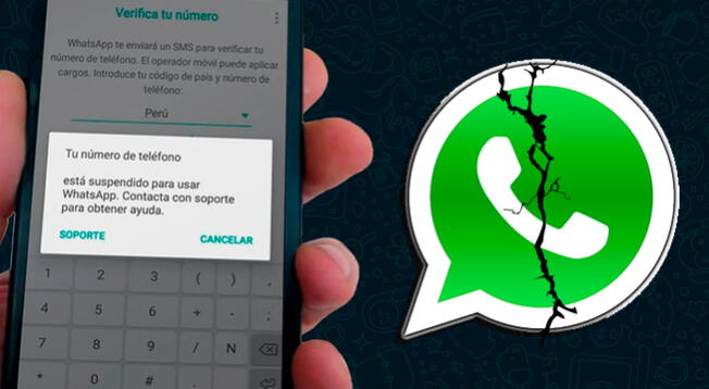 Whatsapp Eliminará Tu Cuenta Para Siempre Si Tienes Una De Estas Apps En Tu Smartphone 9205