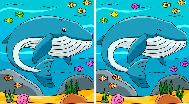 Rompecabezas De 1000 Piezas – Encontrar Las Diferencias No.6 – ' Por El Canal - (Find The Differences No.6 – 'by The Canal