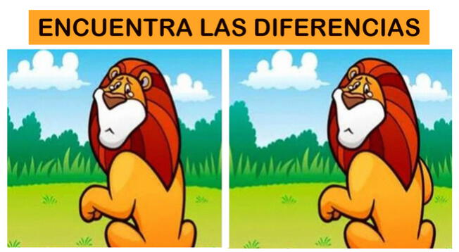 Solo un GENIO puede ver las 5 diferencias en los leones: resuelve el reto  en segundos