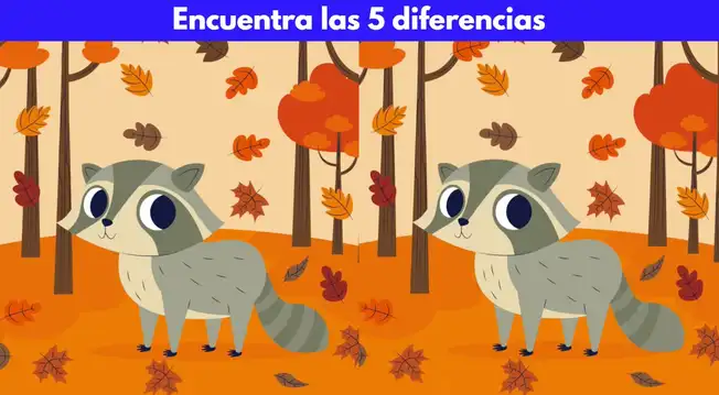 Mapache Match Ubica las 5 diferencias entre los mapaches: solo el 2% de personas ...