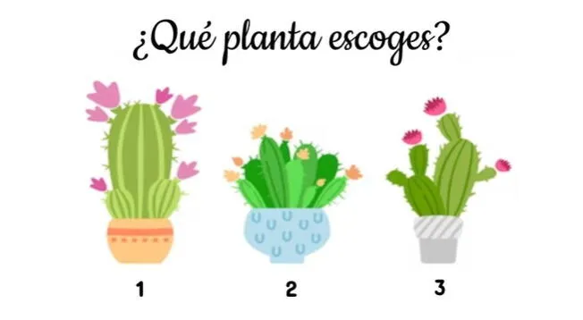 <em>Una planta te dirá si eres una persona cariñosa. (FOTO: Composición Pinterest)</em>   