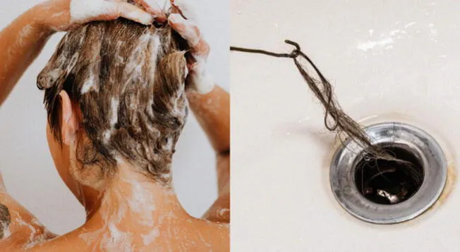 PELO DUCHA  Así puedes quitar el pelo acumulado en el desagüe de la ducha  sin dificultad