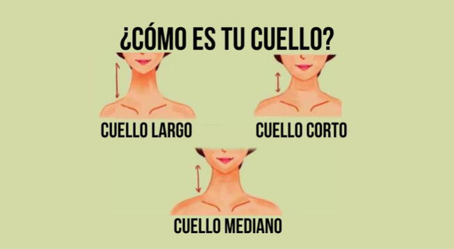 ¿Cómo es tu cuello? Descubre lo que el tamaño te puede indicar sobre tu ...
