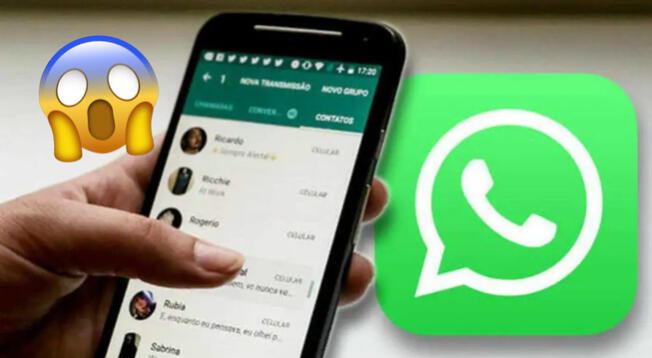Whatsapp Tiene Un Truco Oculto Que Te Permite Descargar Los Estados Sin Usar Otra App 0938