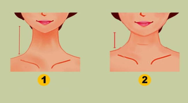 Test de personalidad: La longitud de tu cuello te ayudará a descubrir ...