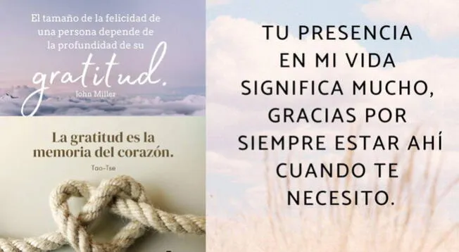 Frases De Agradecimiento Y Gratitud Para Enviar A Una Persona Especial Por Whatsapp