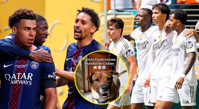 Perrito Panchito, quien pronosticó a Chelsea como primer finalista, revela ganador del Real Madrid vs PSG Perrito Panchito, quien pronosticó a Chelsea como primer finalista, revela ganador del Real Madrid vs PSG