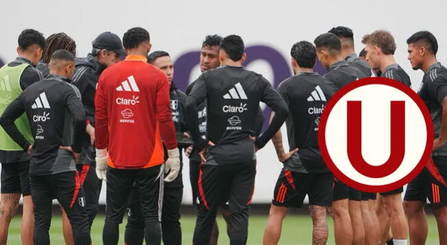 Ex DT de Universitario se perfila como el 'sucesor' de Ibáñez en la selección peruana Ex DT de Universitario se perfila como el 'sucesor' de Ibáñez en la selección peruana