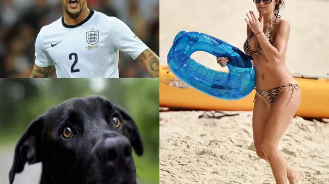 Futbolista de la Premier League grabó a su novia teniendo sexo oral con su perro