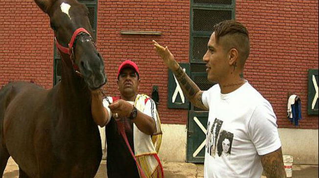 Paolo Guerrero: caballo del "Depredador" correrá el sábado en Sao Paulo.