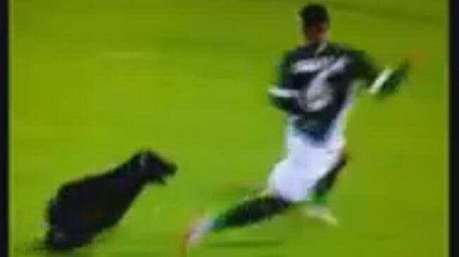 Un perro corretea a Juninho del Goiás.