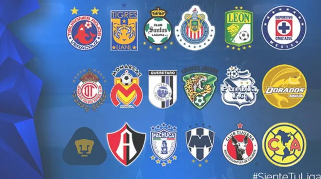 Equipos de la Liga mexicana no jugarán la Copa Libertadores 2017.