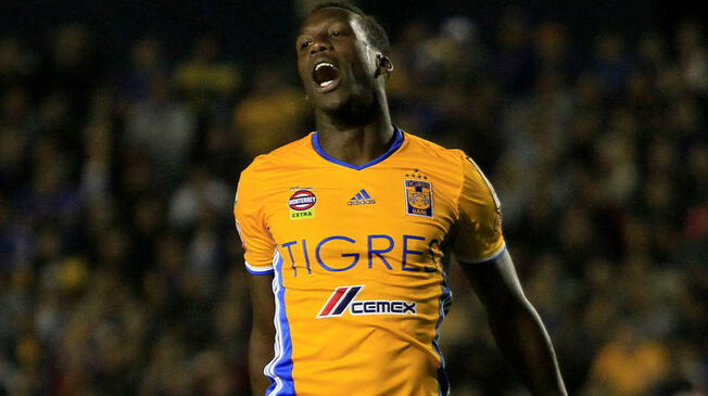 Tigres vs. Monterrey EN VIVO TDN ONLINE: en TV por Liga MX [Hora y canal]